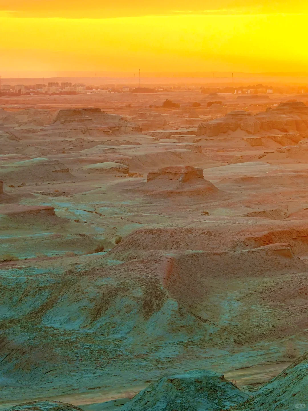 新疆那拉提🎁等于闯进金色童话世界！🍂