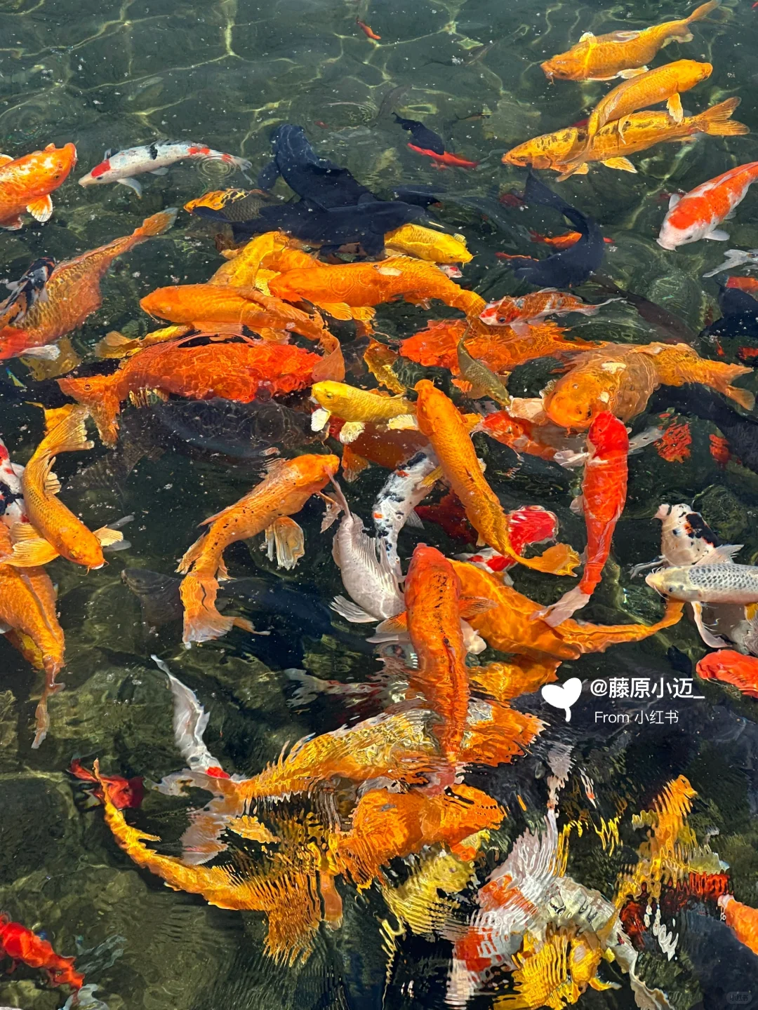 安阳周边游📍邯郸黑龙洞