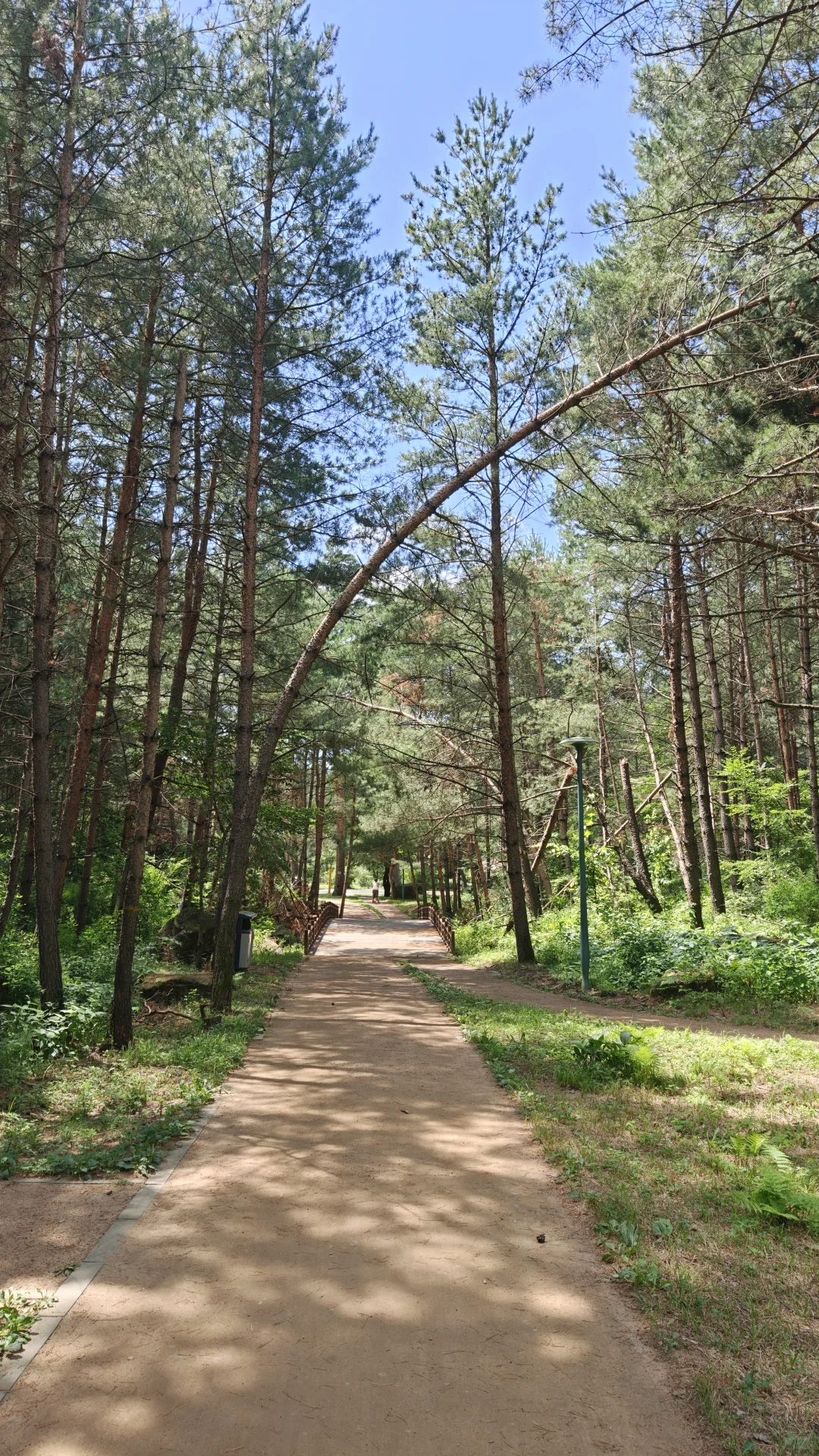 长白山北坡二道白河九月自由行旅游玩攻略