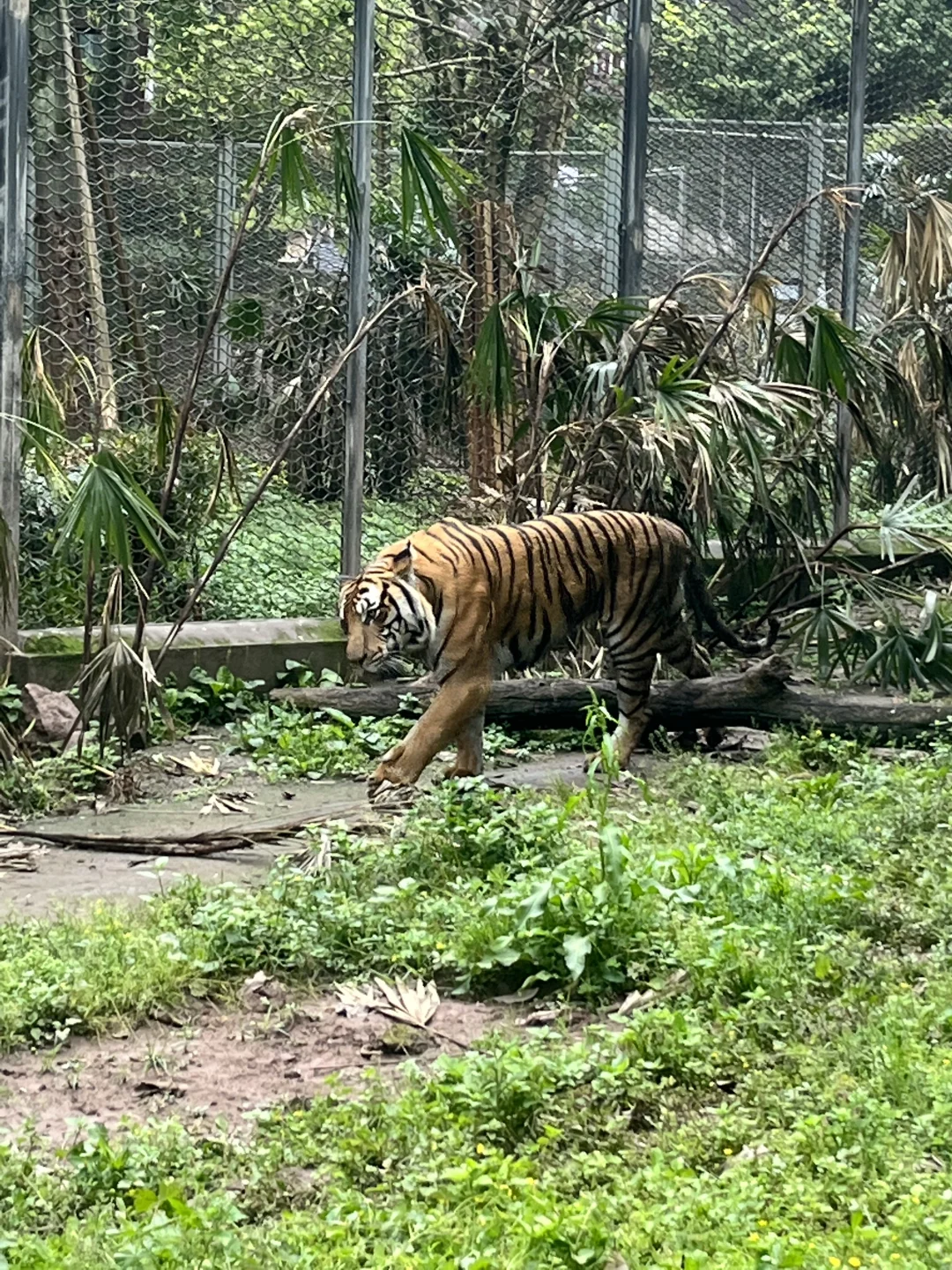 重庆值得去的景点📷