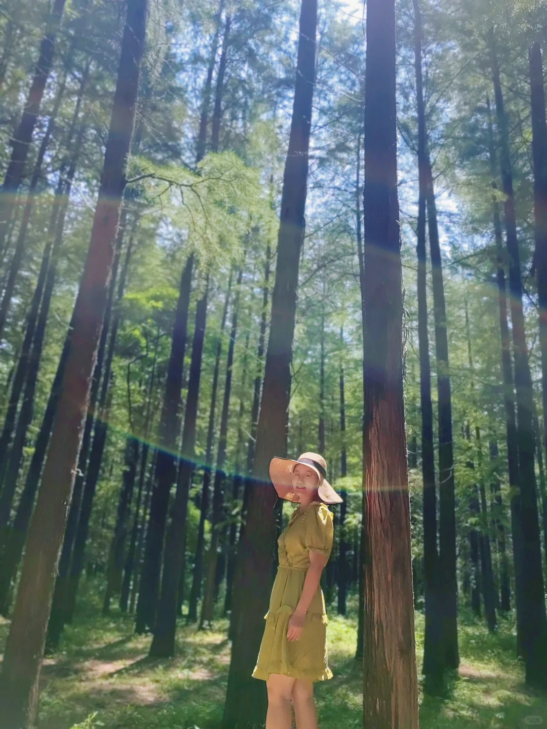 不接受反驳,国家森林公园是日照景点顶流!