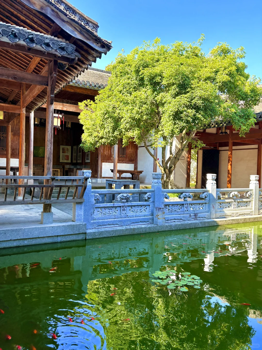 南京出发 | 挑战每周出去玩✨第57站📍歙县