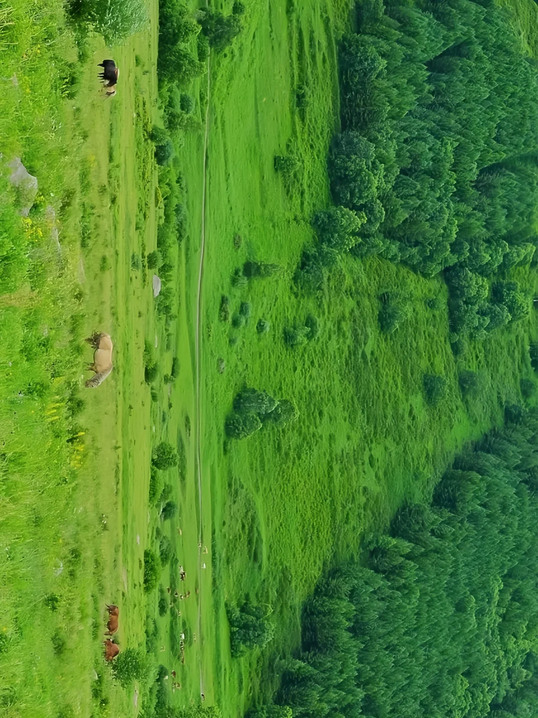 国庆反向旅游，小众宝藏景点，人美景少！
