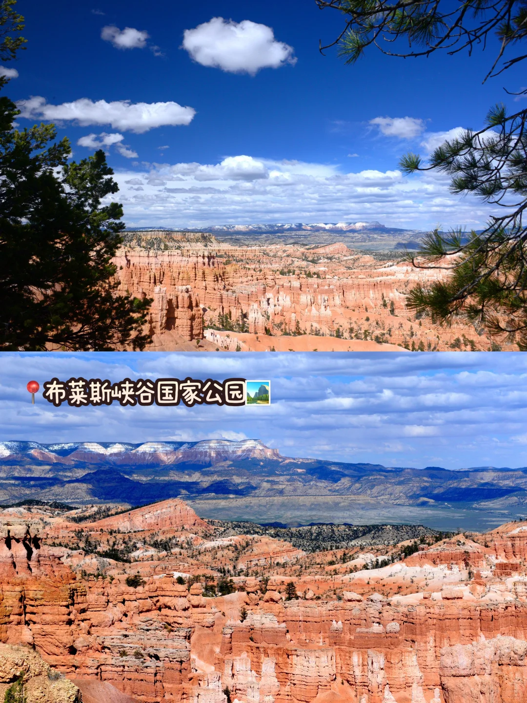 美西11天7晚$2999起！国家公园+城市嗨玩