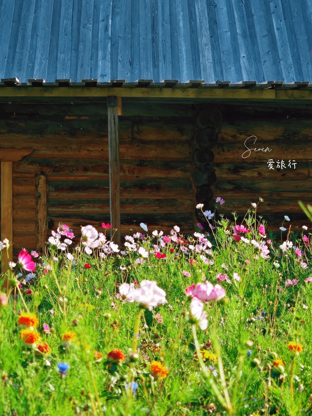 建议收藏❗ | 禾木风景区游玩攻略📚