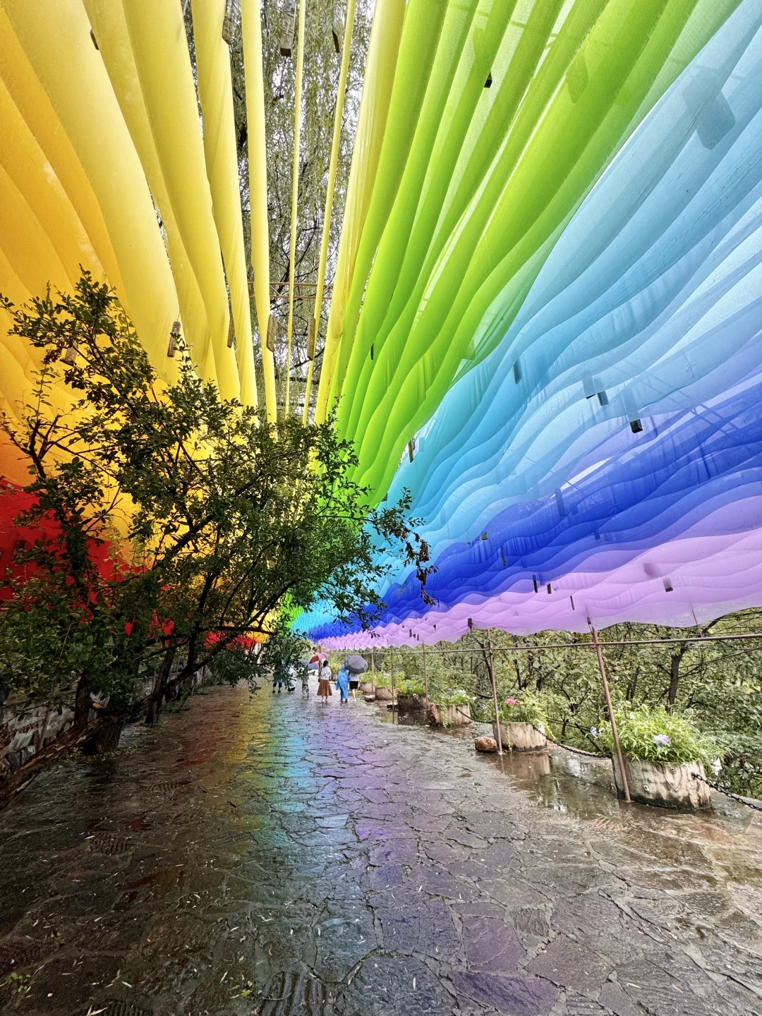 河北版绿野仙踪🌳