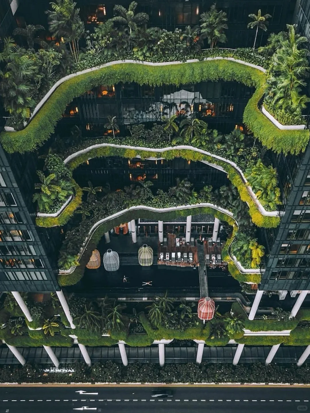 新加坡根本不是网上说的那样…😭