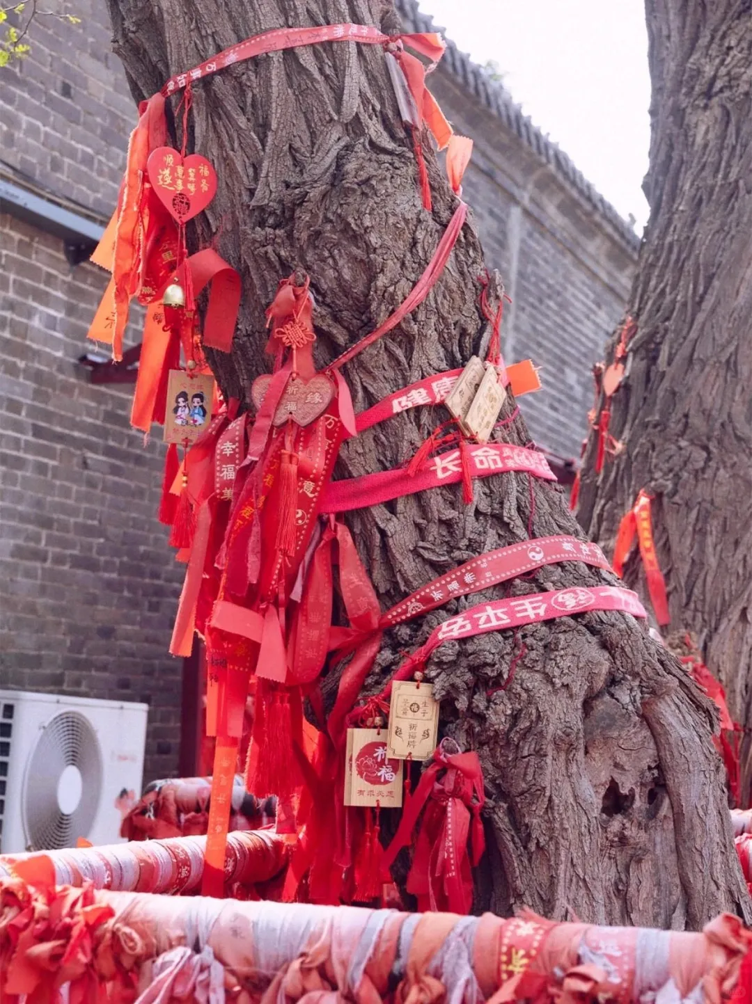 郑州🚅1h直达邯郸,一日打卡必去景点