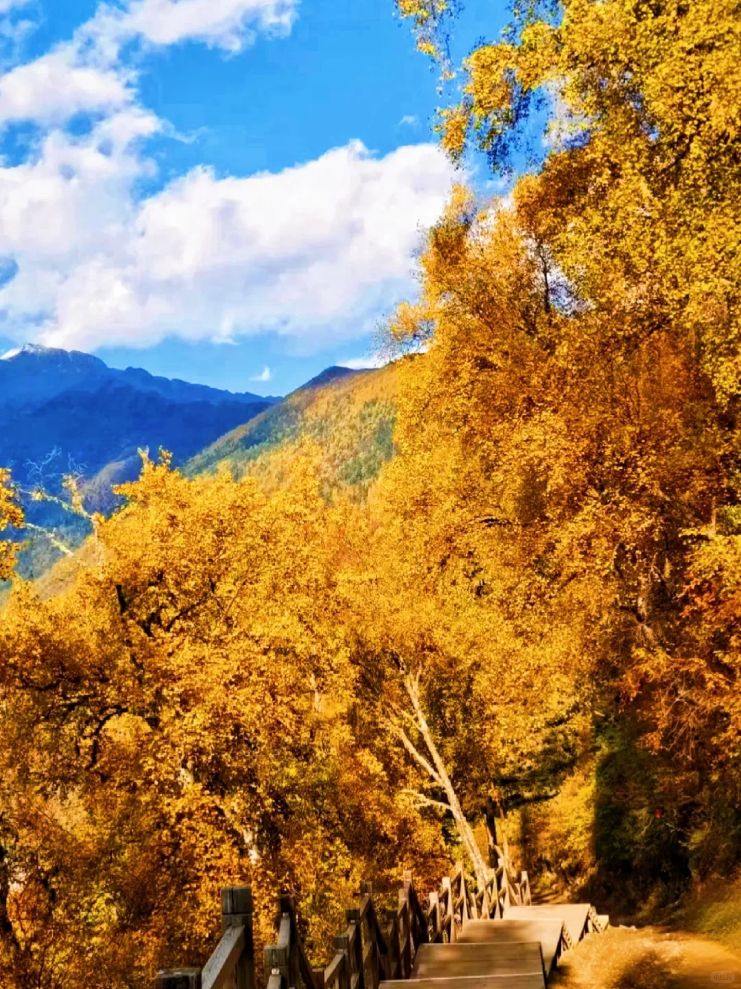 秋景封神的四姑娘山❗附游玩超详攻略❗