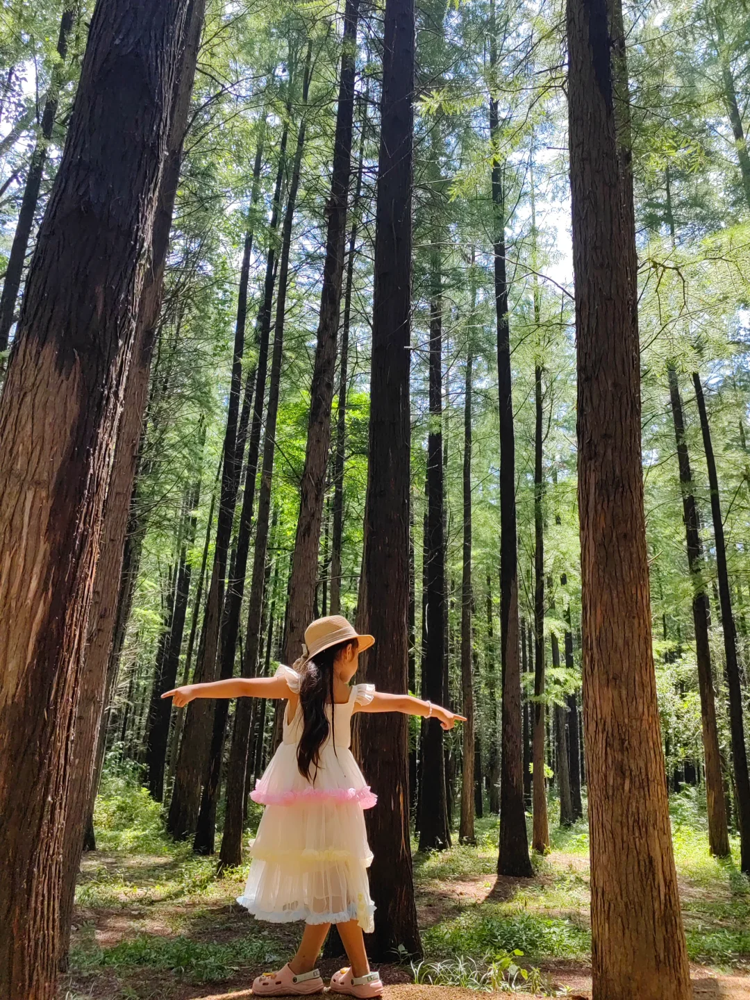 不接受反驳,国家森林公园是日照景点顶流!