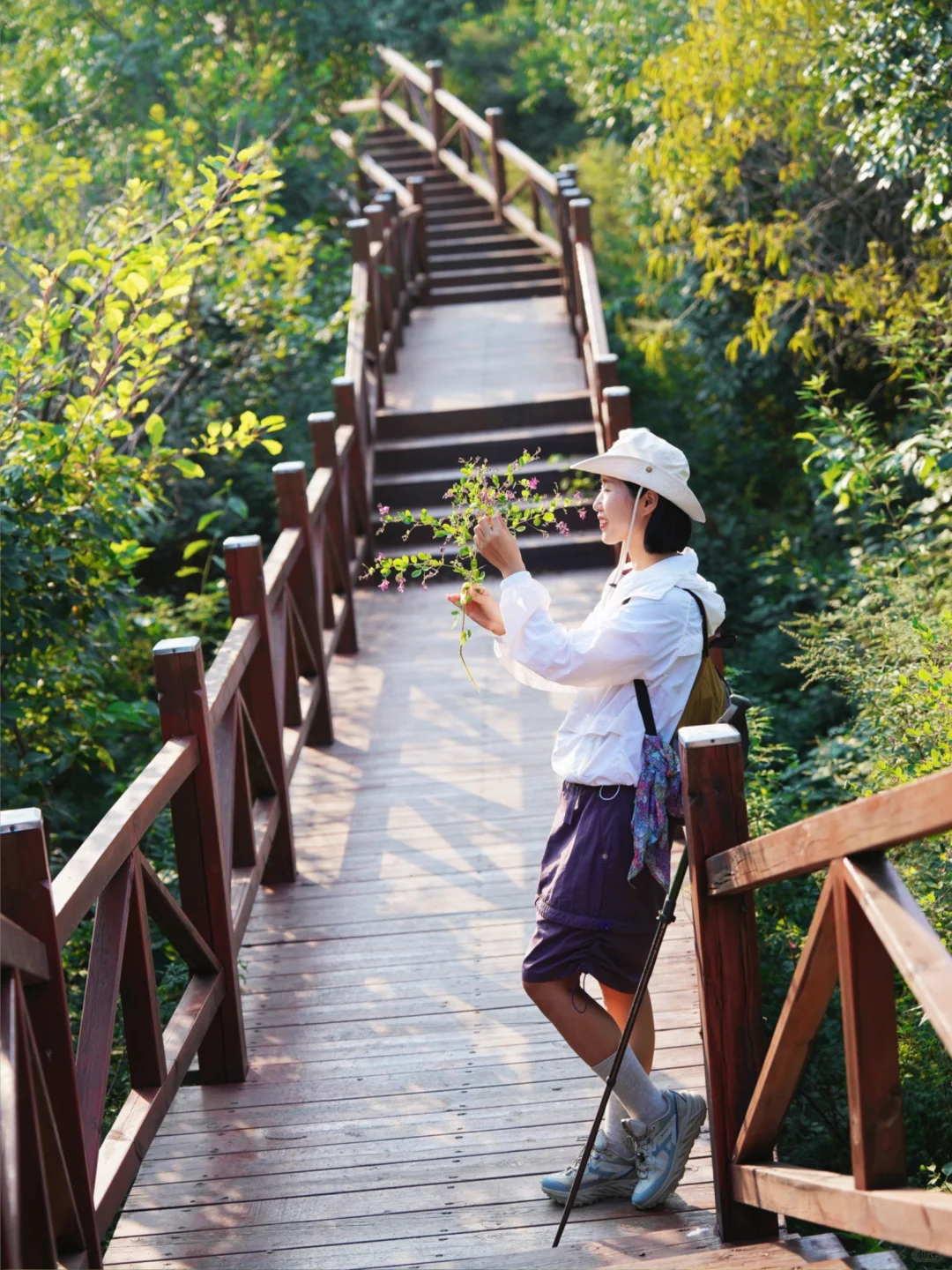 我宣布！我找到了北京超美云端步道！附地址