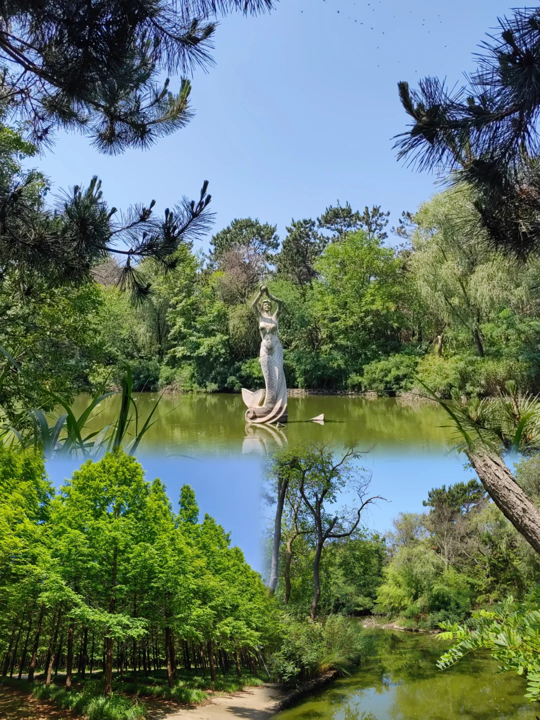 不接受反驳,国家森林公园是日照景点顶流!