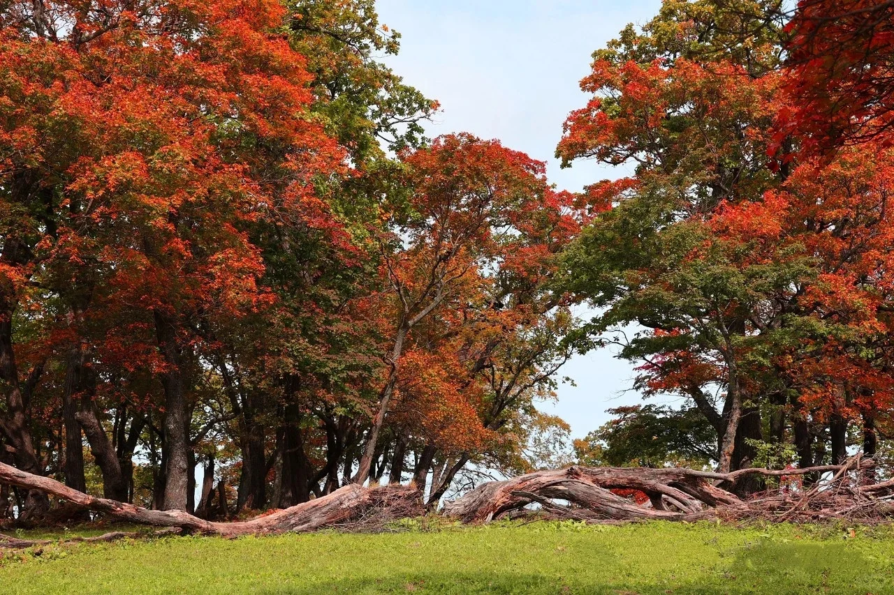 安利国庆赏秋超迷人的旅行地|必打卡景点