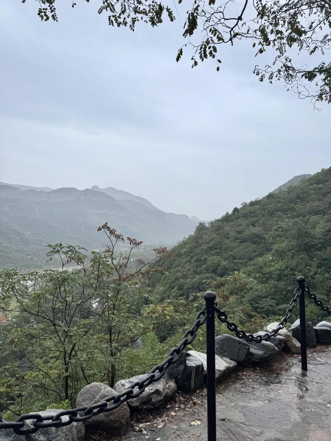 河北版绿野仙踪🌳