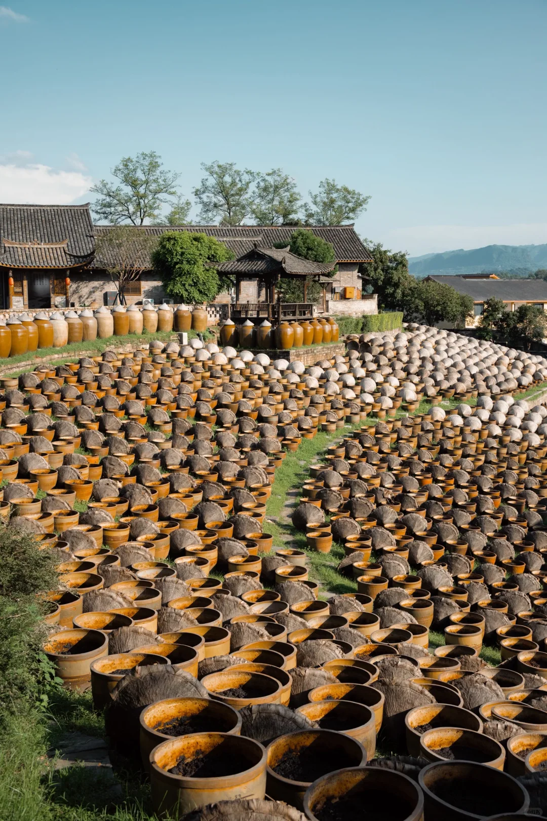 反向旅游，一座被严重低估的人文宝藏城市 ！