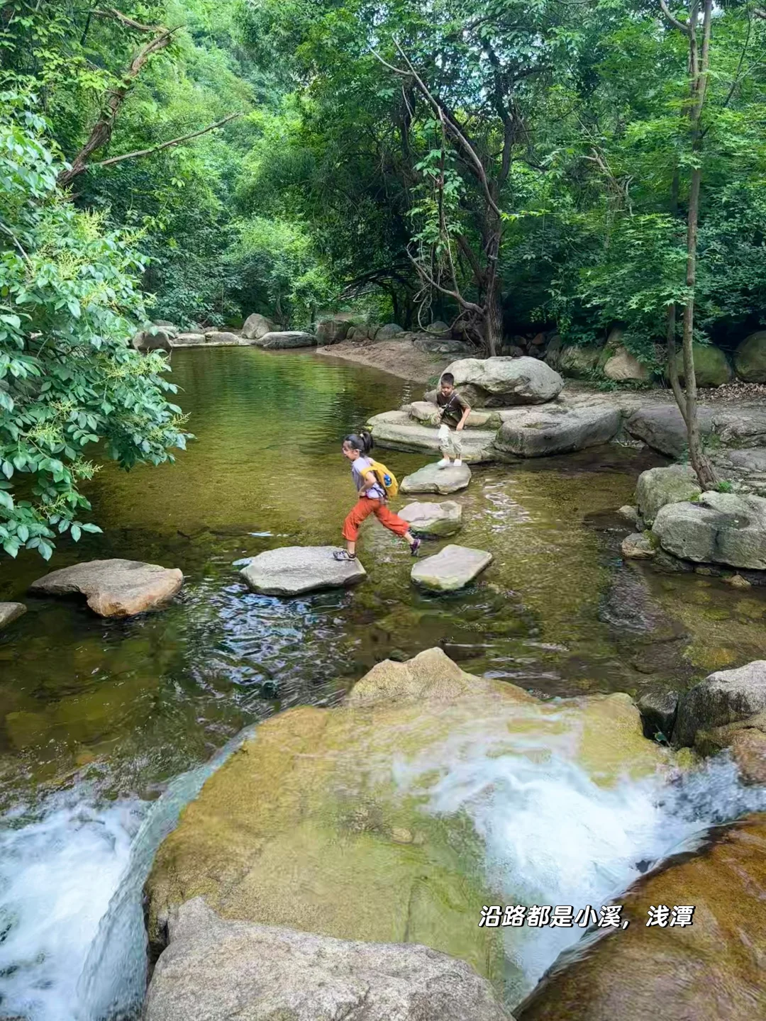 京郊低幼溯溪徒步‼️玩水捞鱼采蘑菇🍄🟫爽