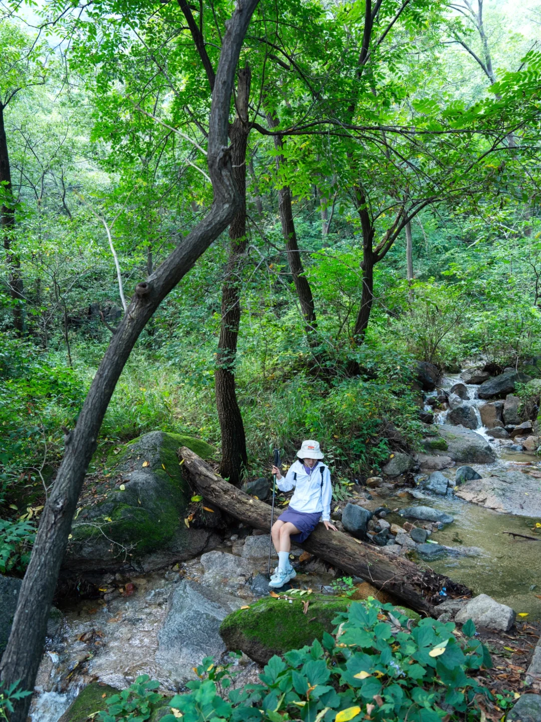 我宣布！我找到了北京超美云端步道！附地址