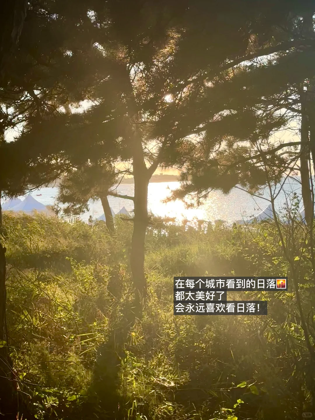 国内女生独自旅行/solotrip城市推荐（下