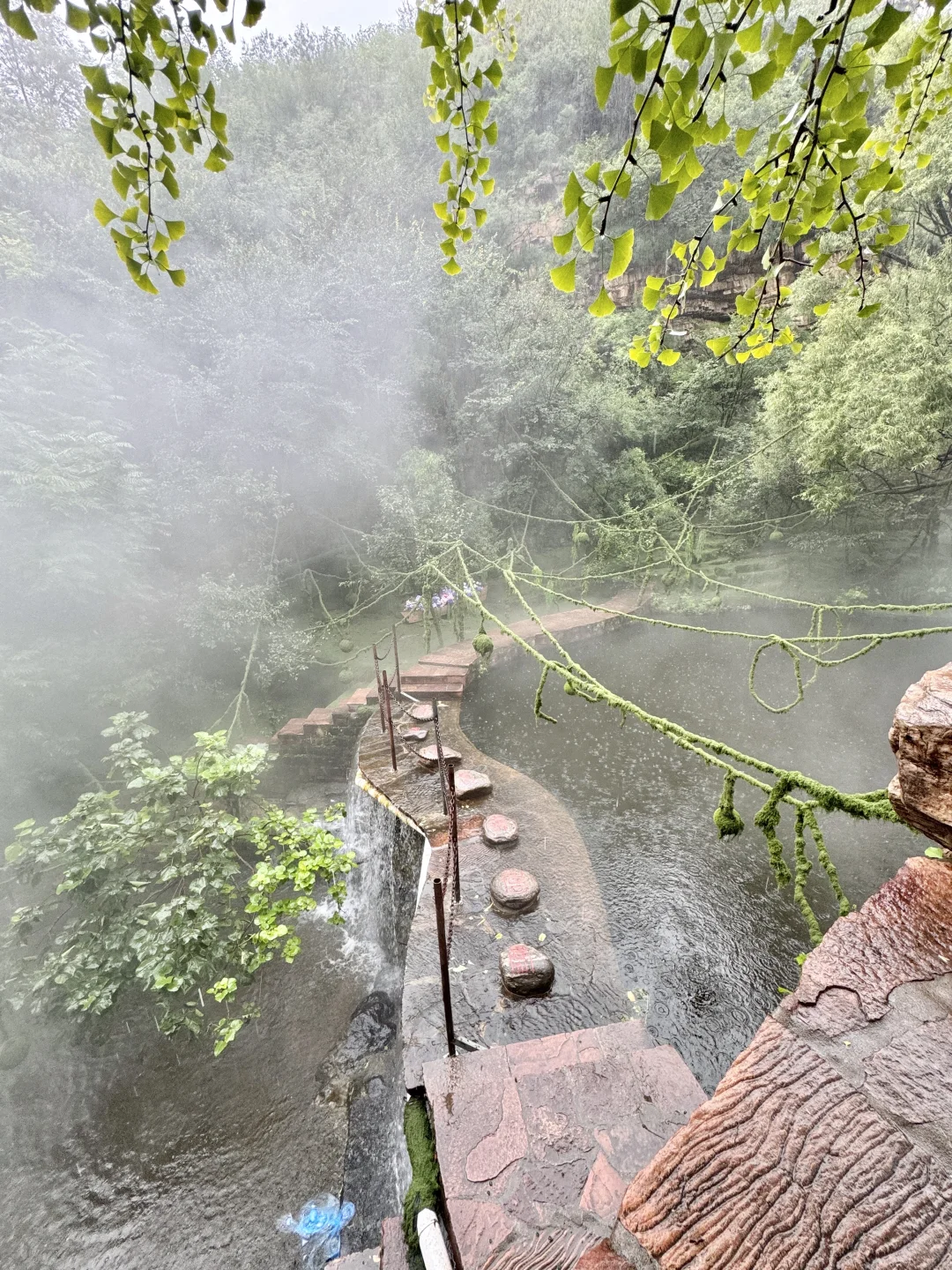 河北版绿野仙踪🌳