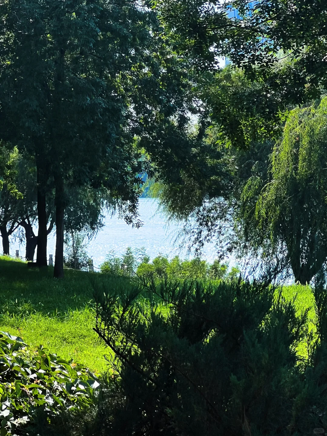 衡水小青岛 ｜晴天超出片