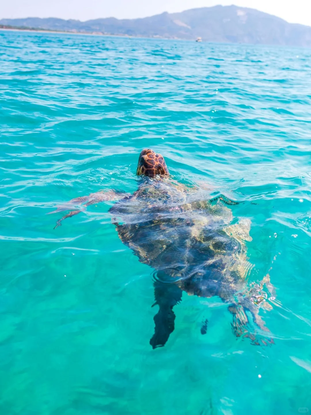 扎金索斯｜地中海蓝宝石，希腊的果冻海