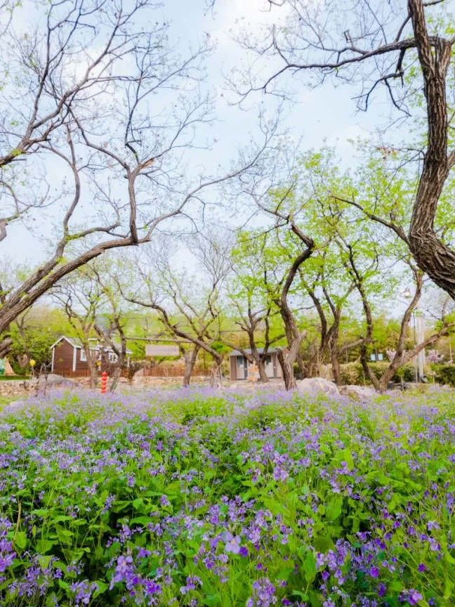 沂蒙山一日游!超详细版攻略~~ 爬山爱好者