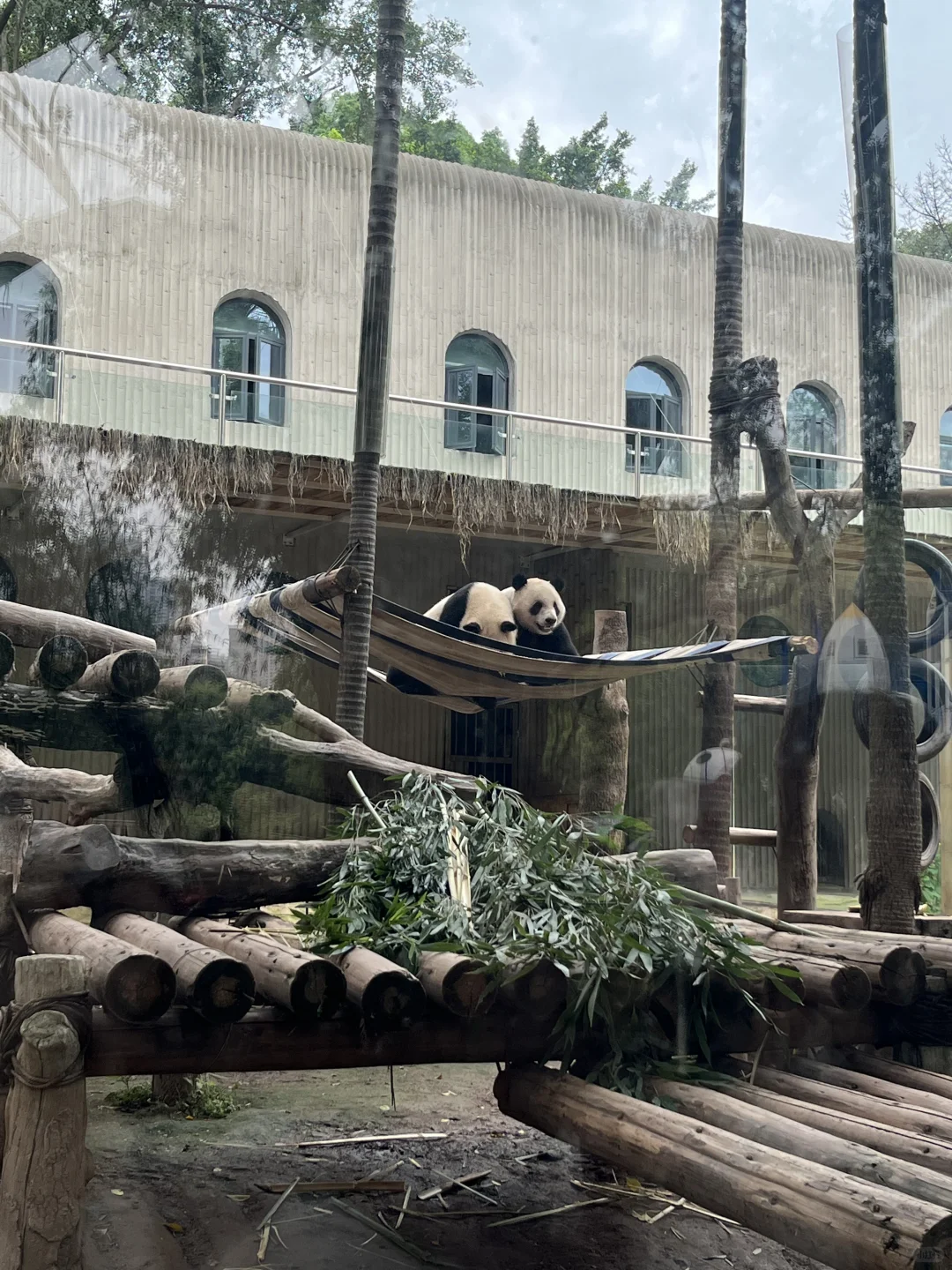 重庆值得去的景点📷