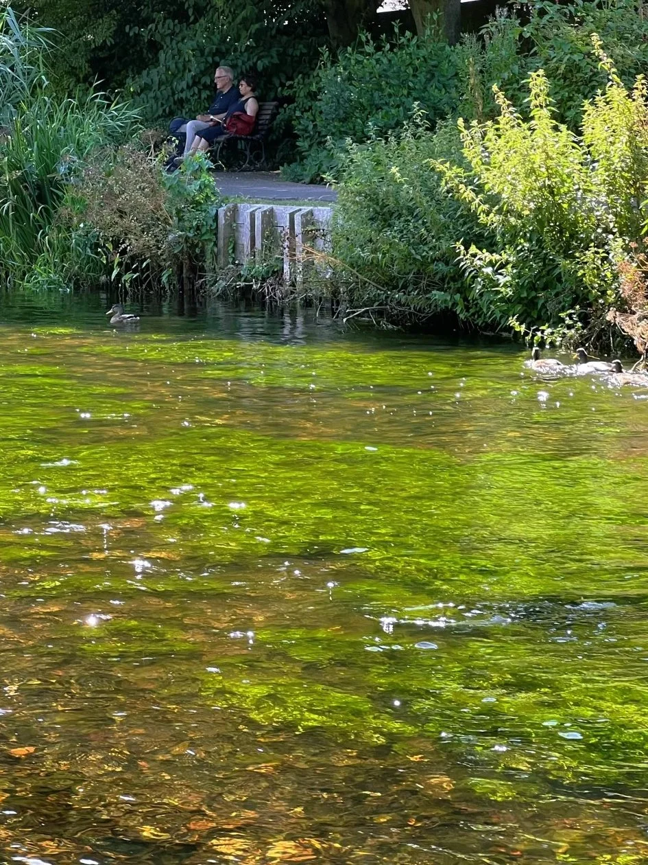 🇬🇧英国坎特伯雷｜误入“上帝的后花园