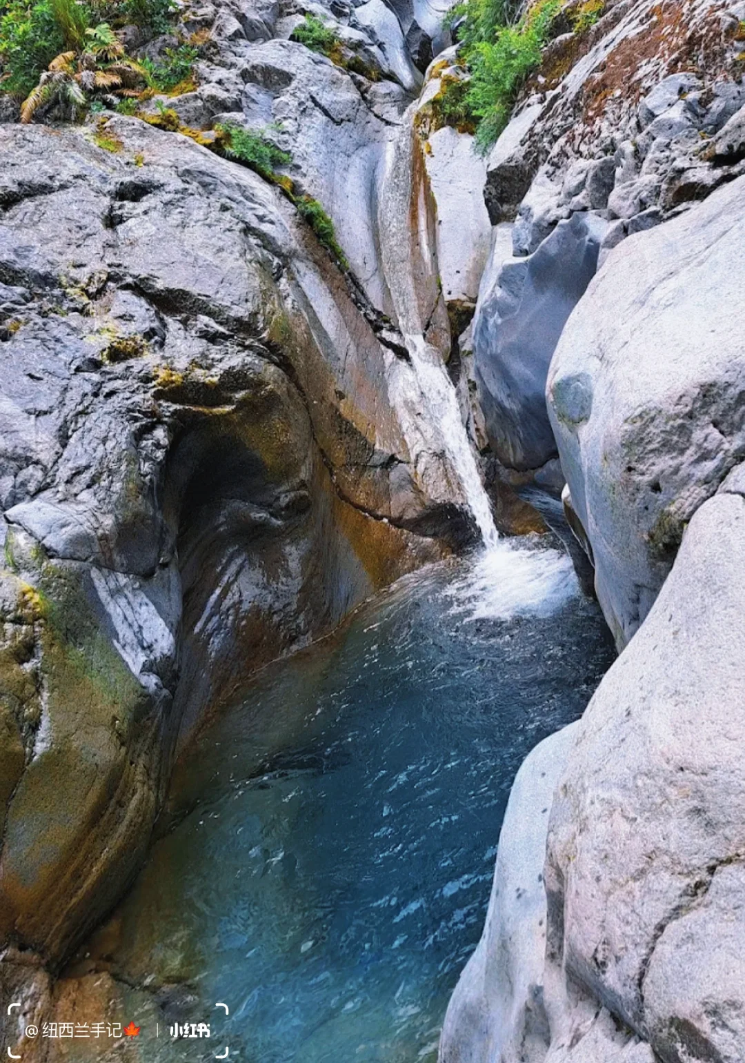 北岛著名景点🔥精灵森林