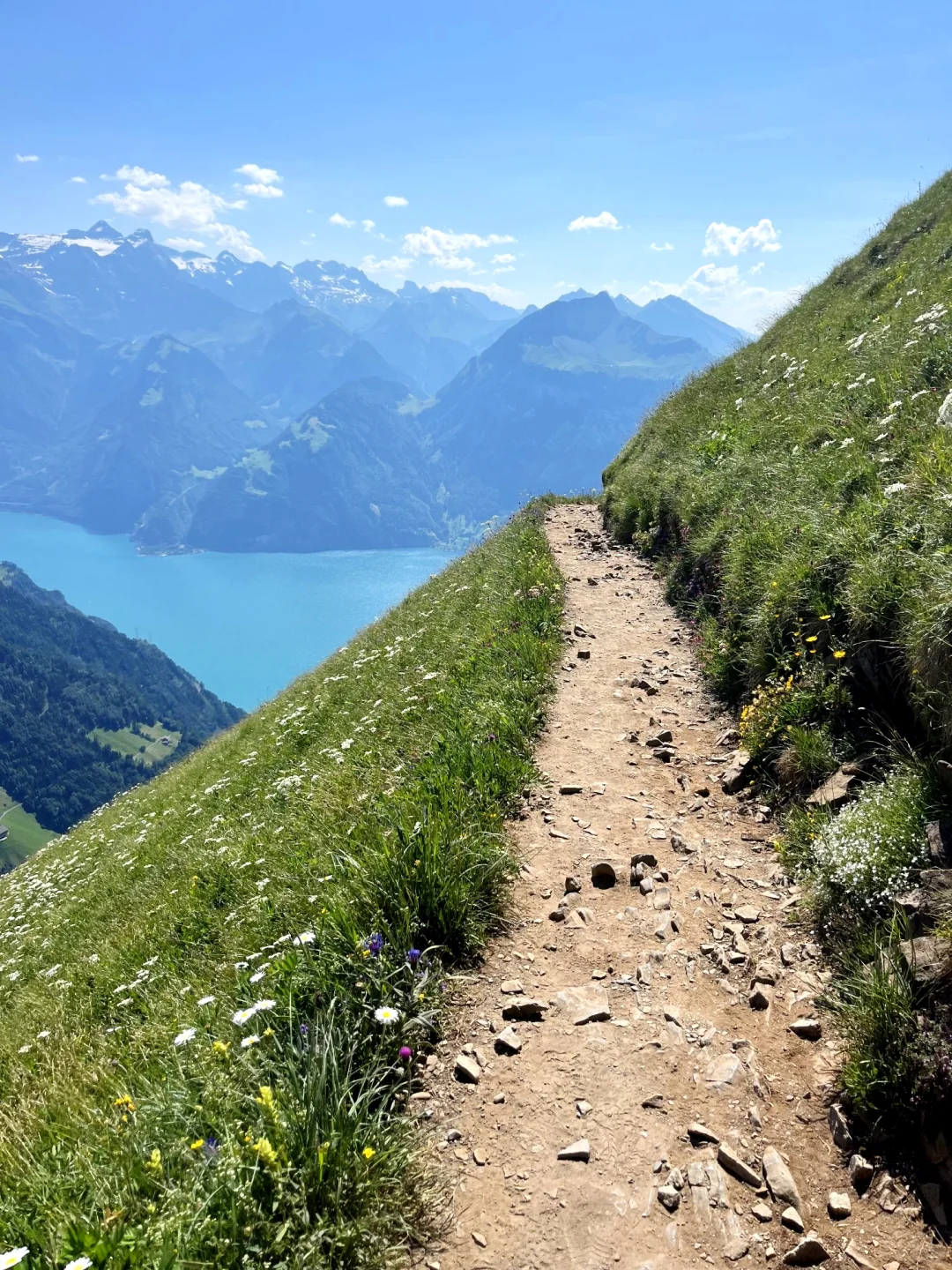 闯入阿尔卑斯山的神秘仙境——瑞士Stoos