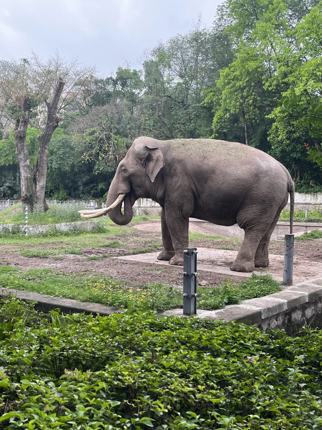 重庆值得去的景点📷