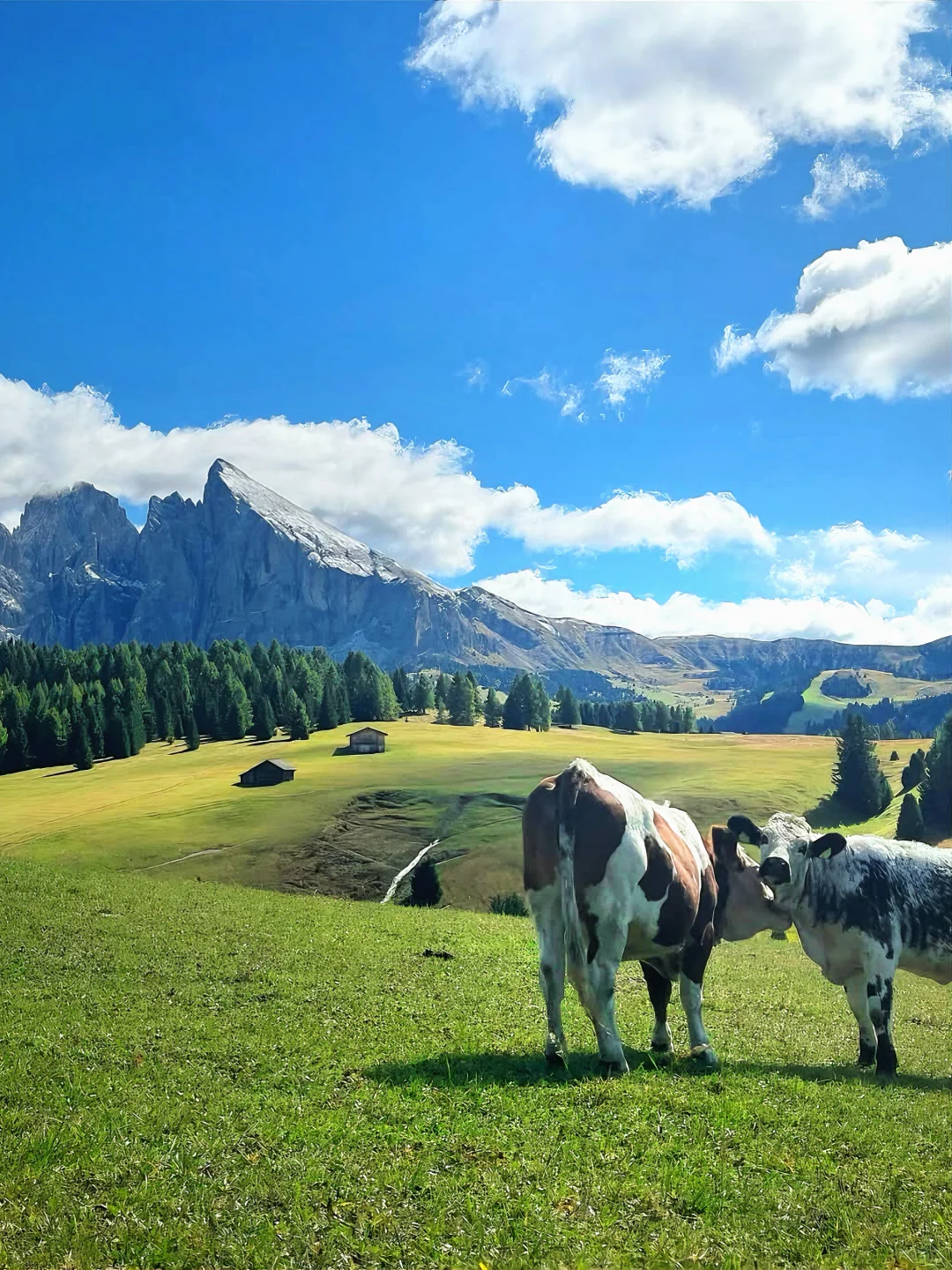 当你撞进了“上帝的后花园”——多洛米蒂