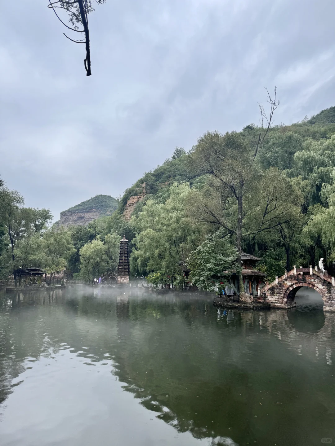 河北版绿野仙踪🌳