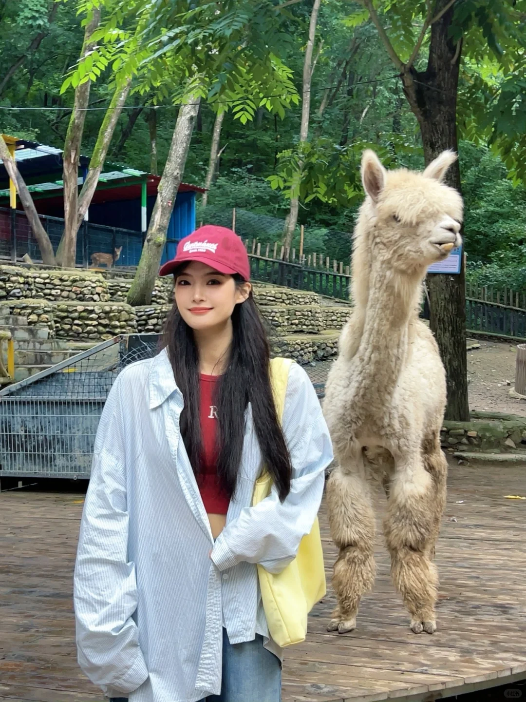 本溪关山湖❗️必打卡机位全在这啦❗️快码住