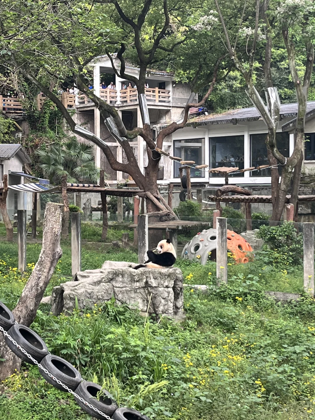 重庆值得去的景点📷