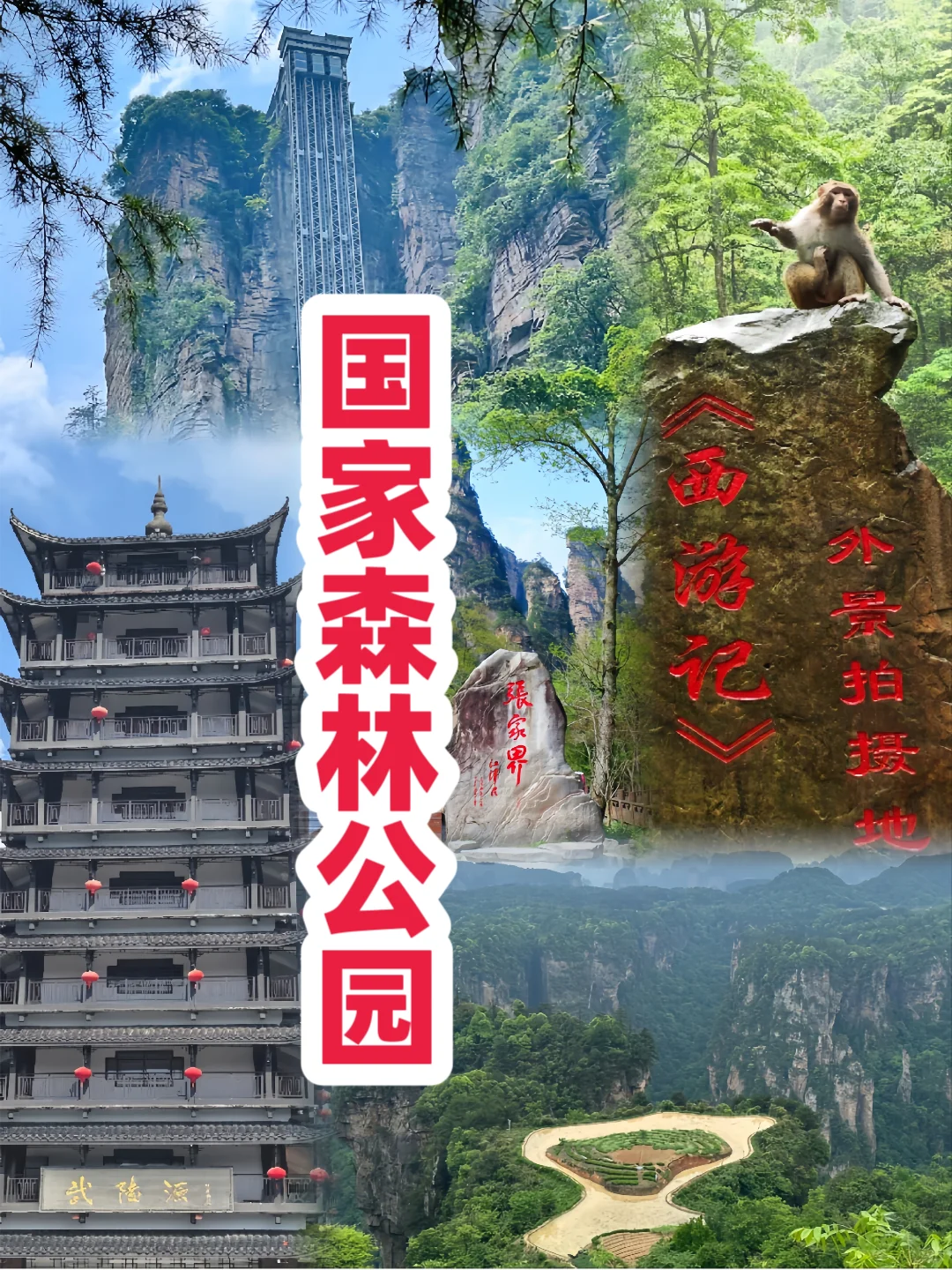 马来西亚朋友超爱的长沙张家界定制游攻略✨