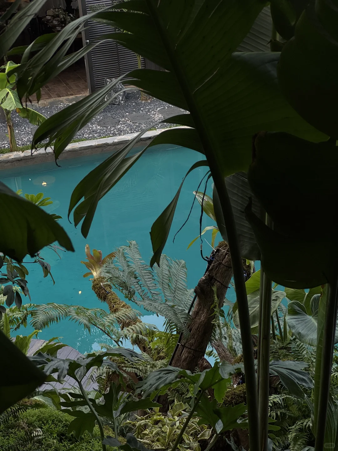 昆明新开的！真的不在国外！！好震撼！！！