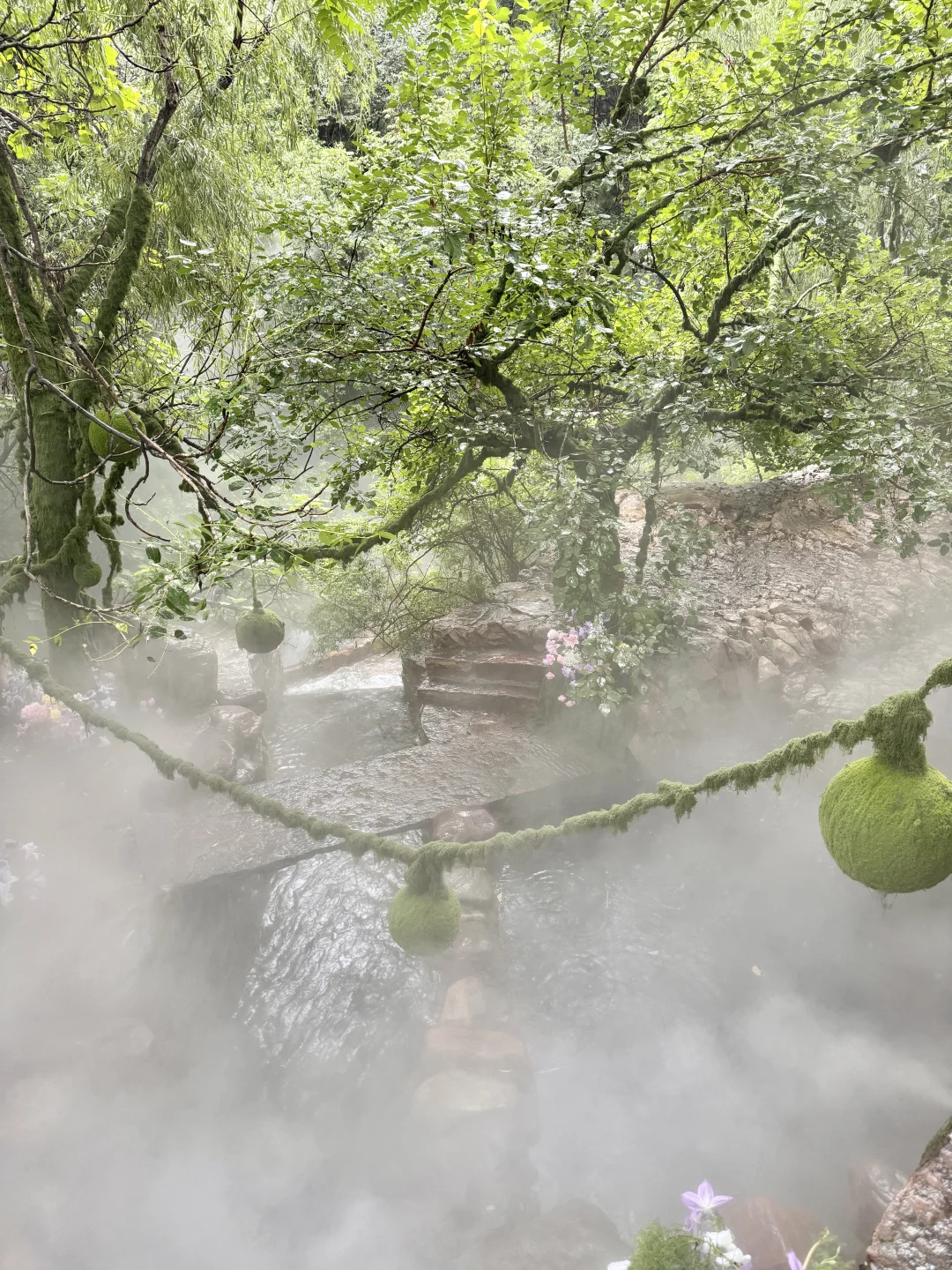 河北版绿野仙踪🌳