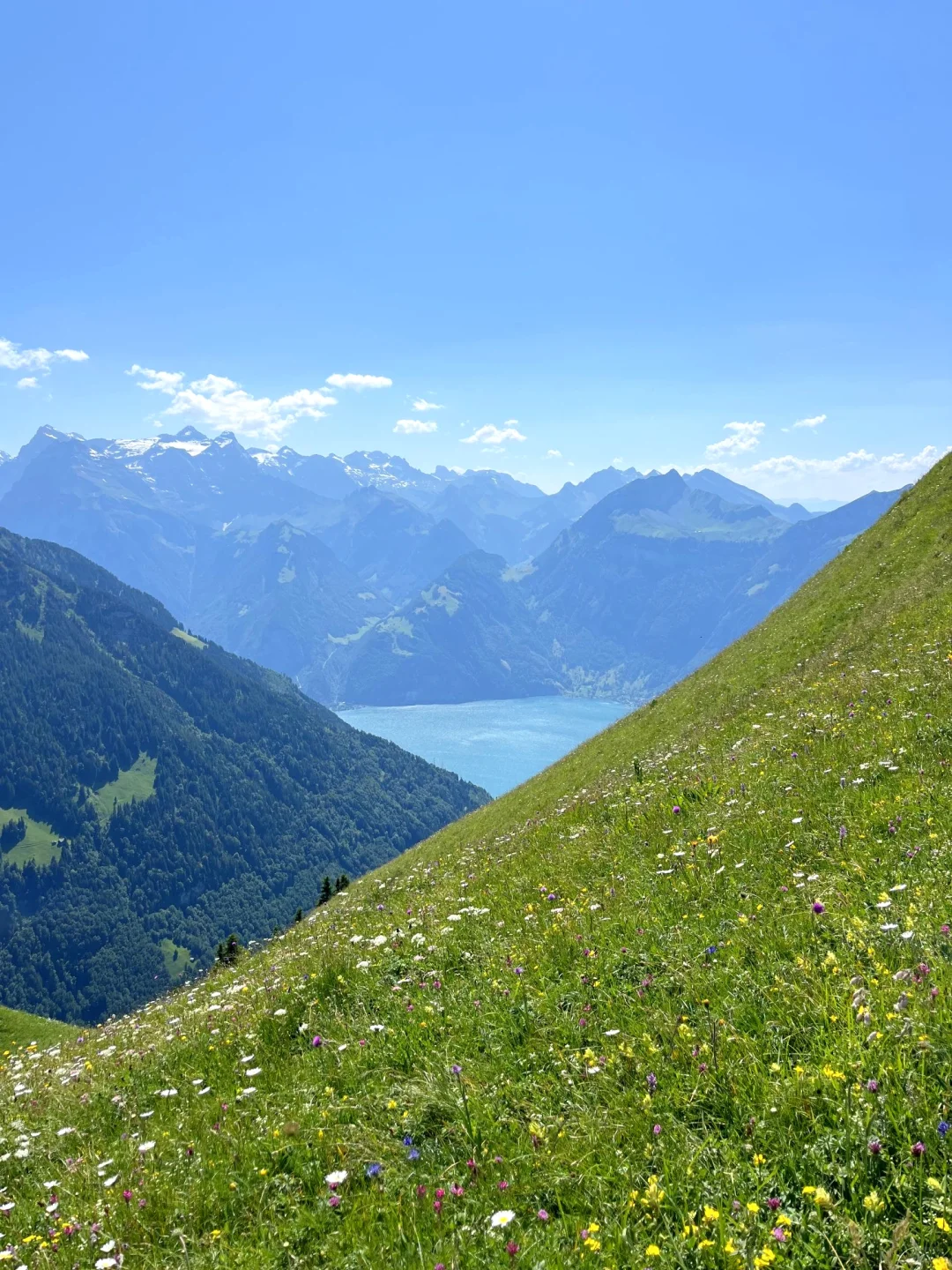 闯入阿尔卑斯山的神秘仙境——瑞士Stoos