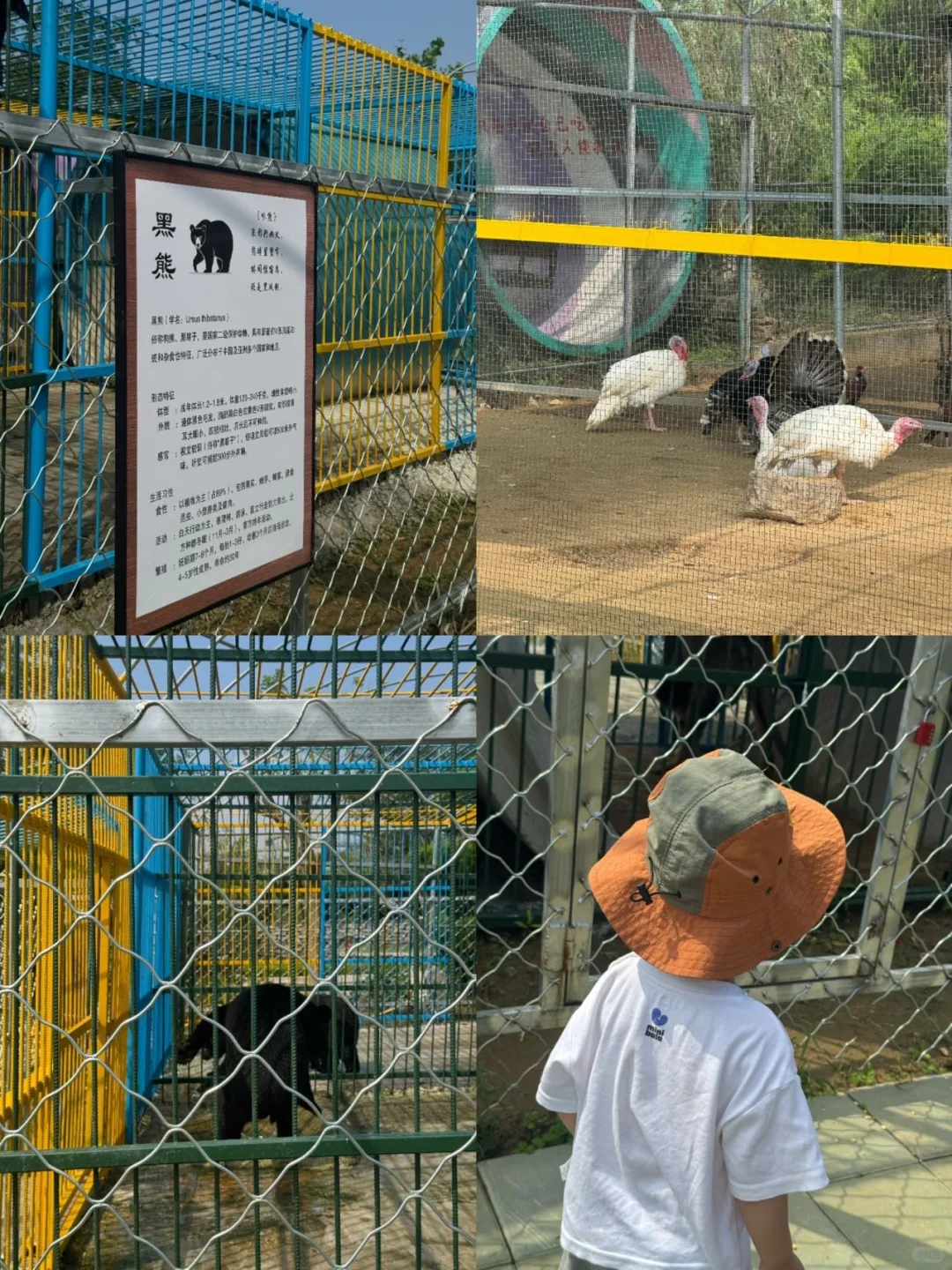 临沂!!市区30min直达的小众景区⛰️人少景美