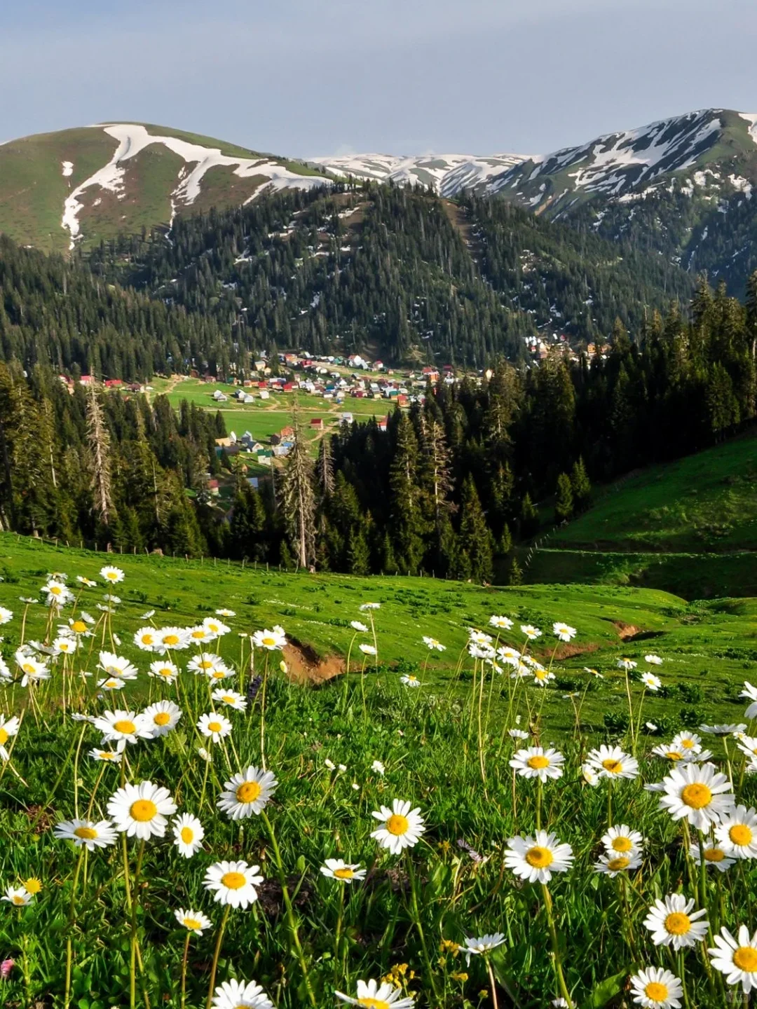 预计免签的格鲁吉亚会成为今年的顶流！！