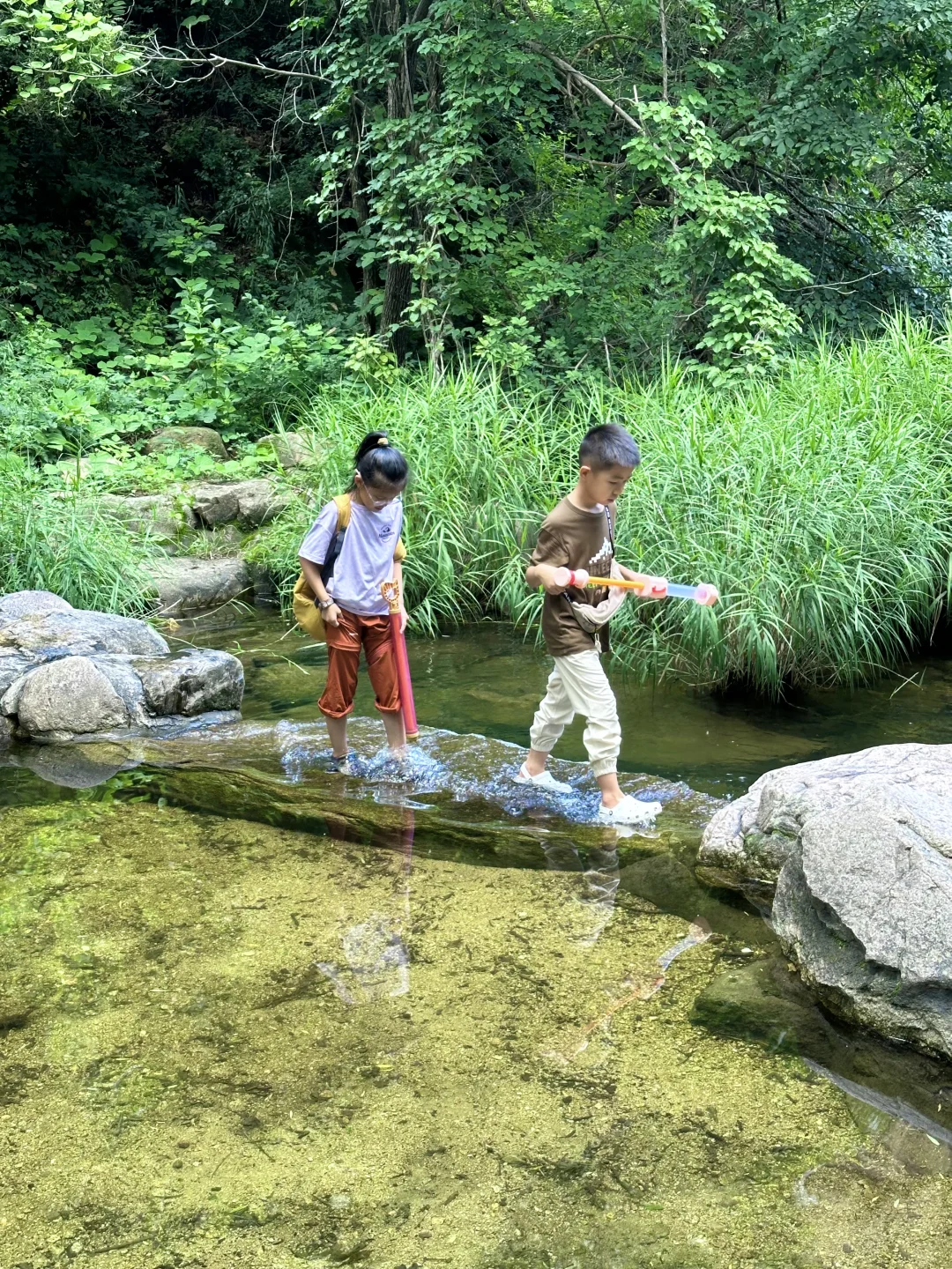 京郊低幼溯溪徒步‼️玩水捞鱼采蘑菇🍄🟫爽
