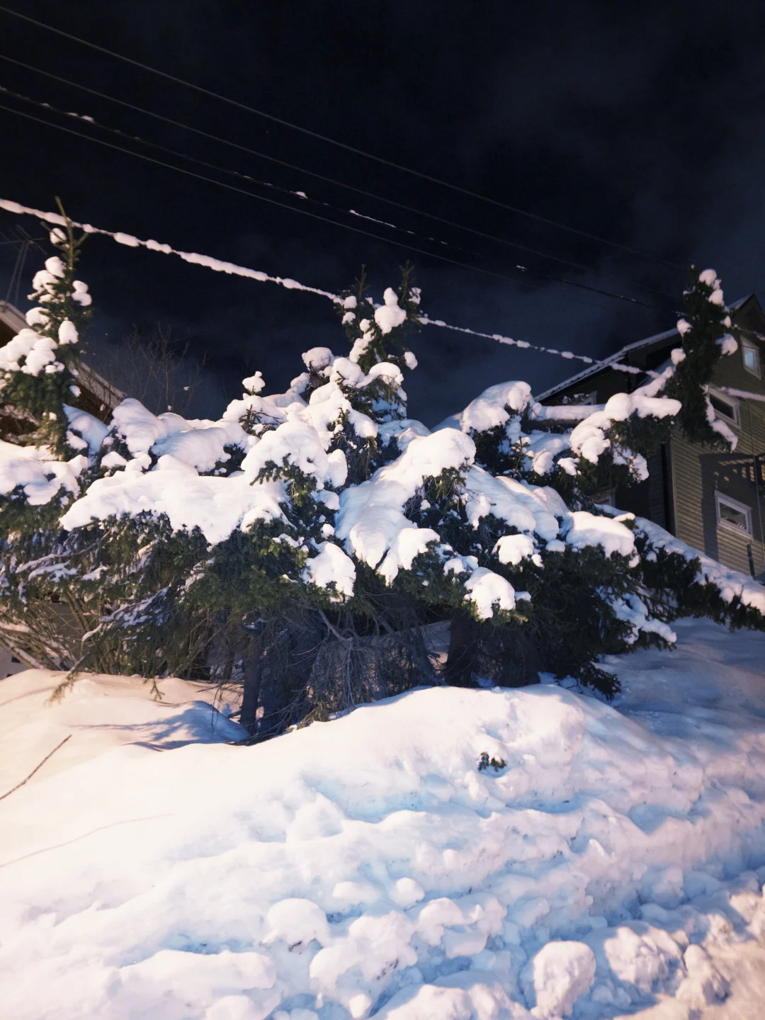 🇳🇴Dawn in Norway