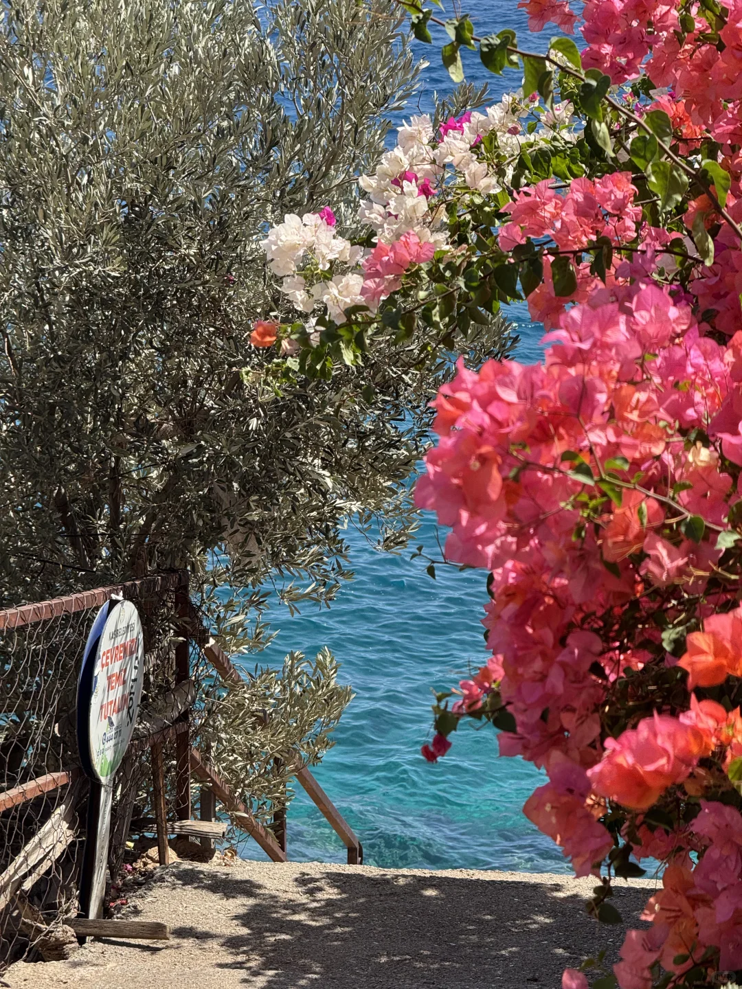 🇹🇷为了这18张live，特意去了趟土耳其...