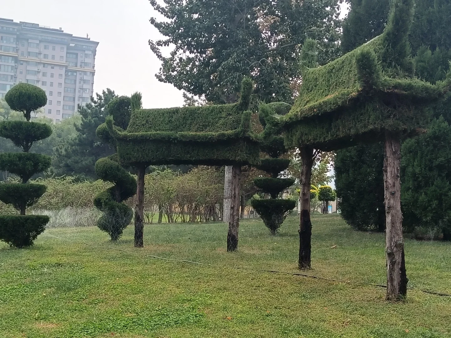 邯郸赵苑公园，赵武灵王胡服骑射处