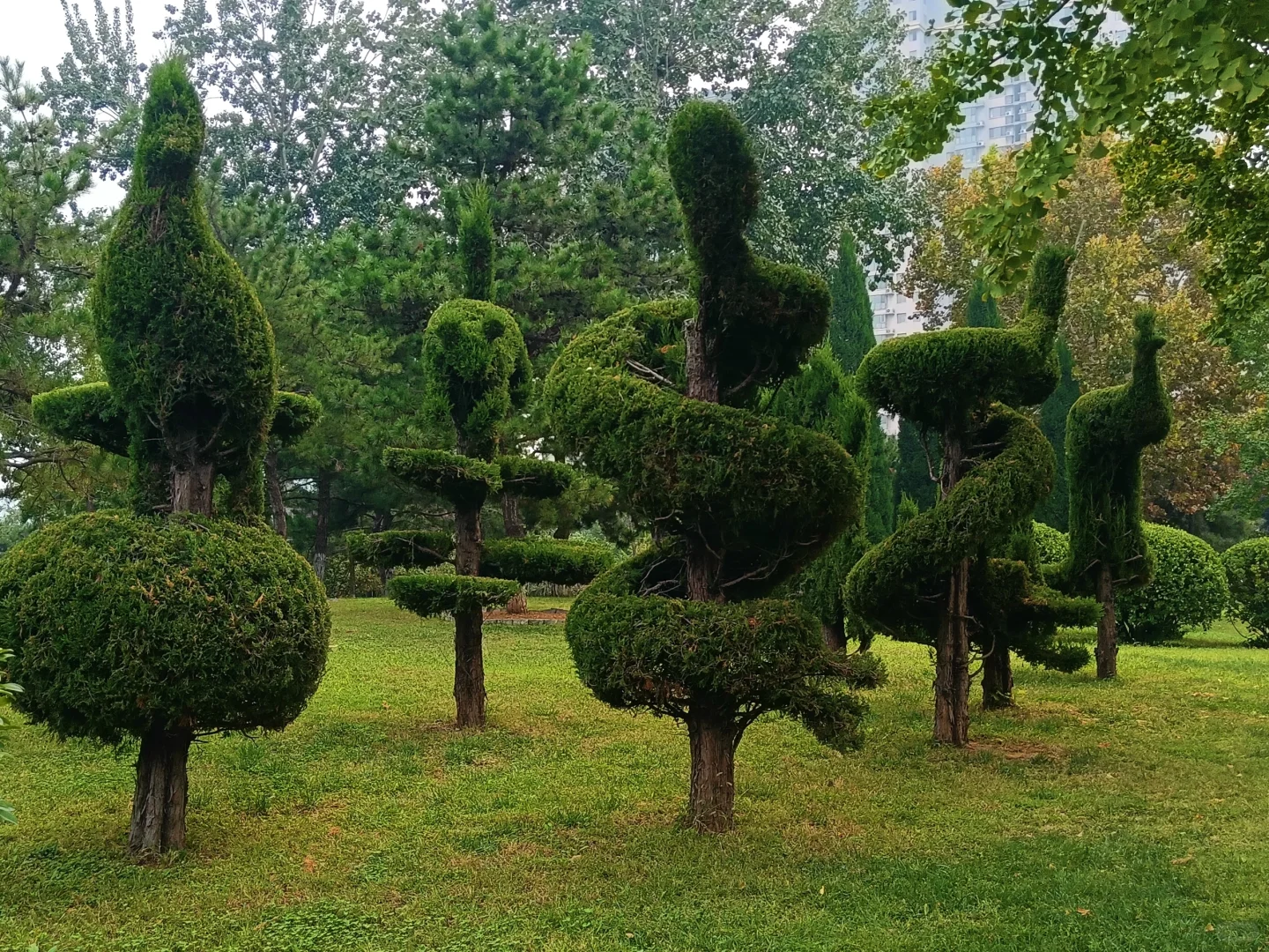 邯郸赵苑公园，赵武灵王胡服骑射处