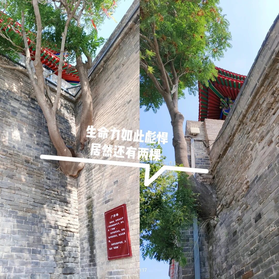 真的太喜欢邯郸了，带娃六天五晚