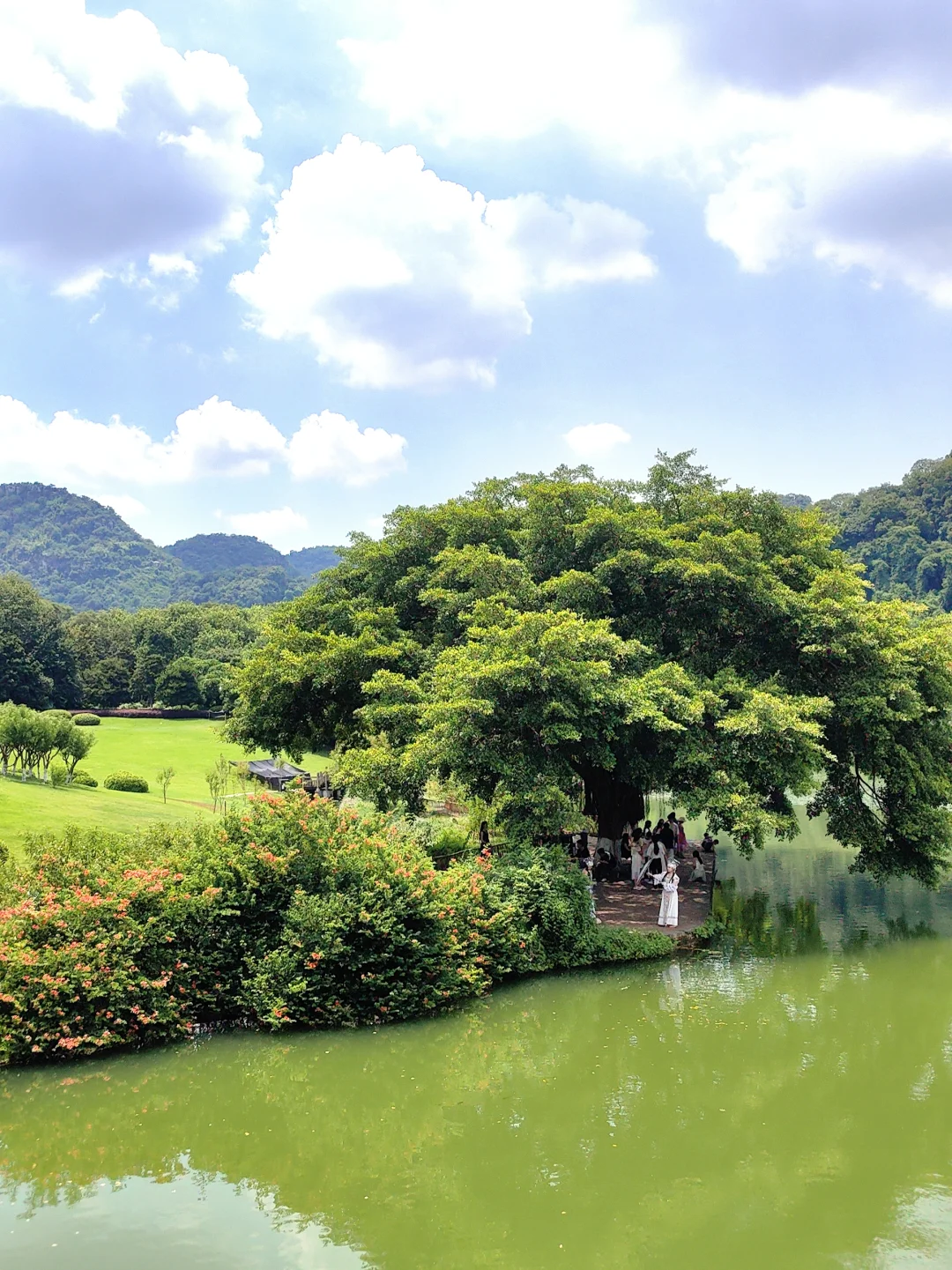 来柳州必去——龙潭公园🌲🌲
