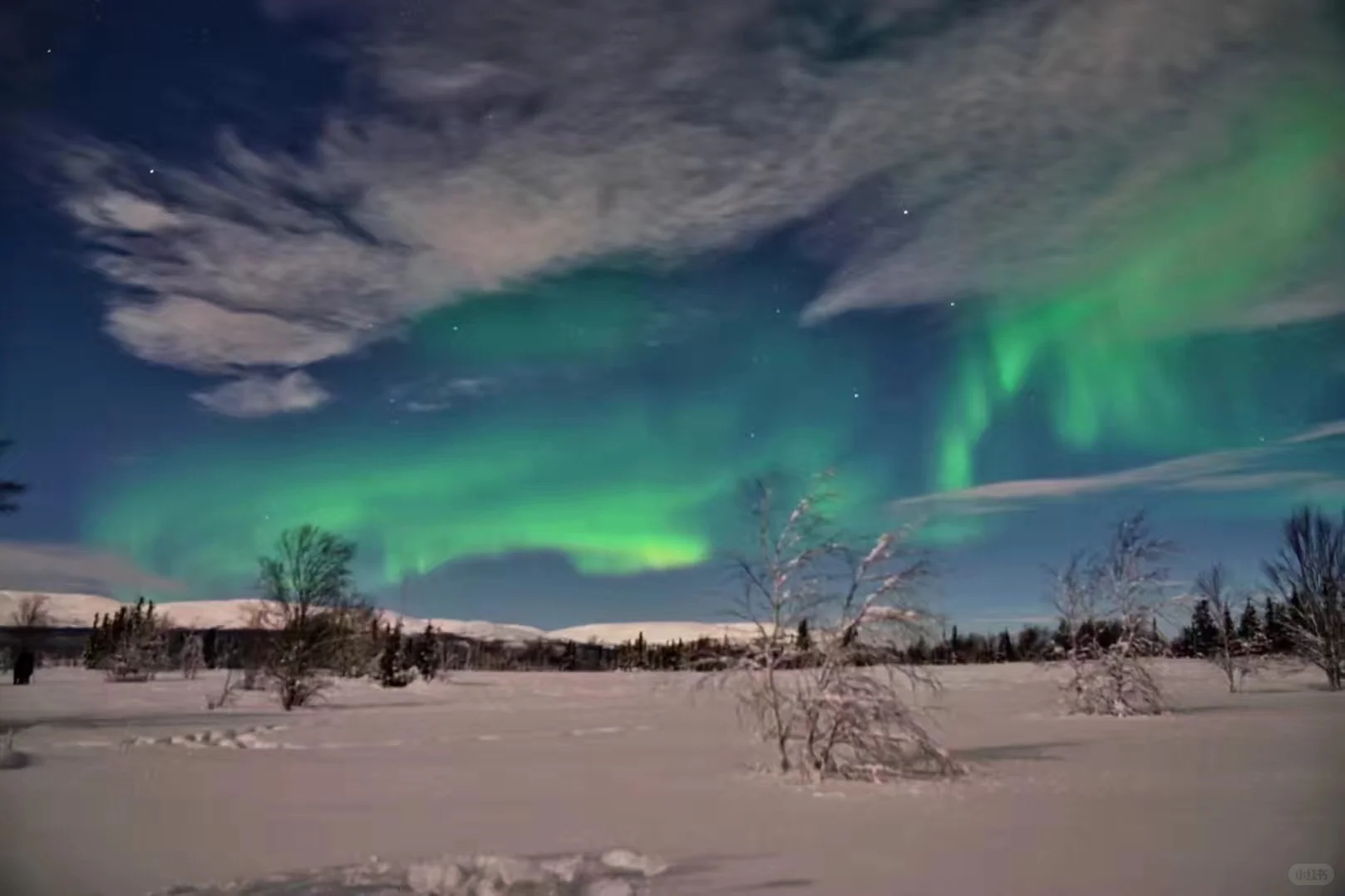 俄罗斯要免签了，再冲一次摩尔曼斯克