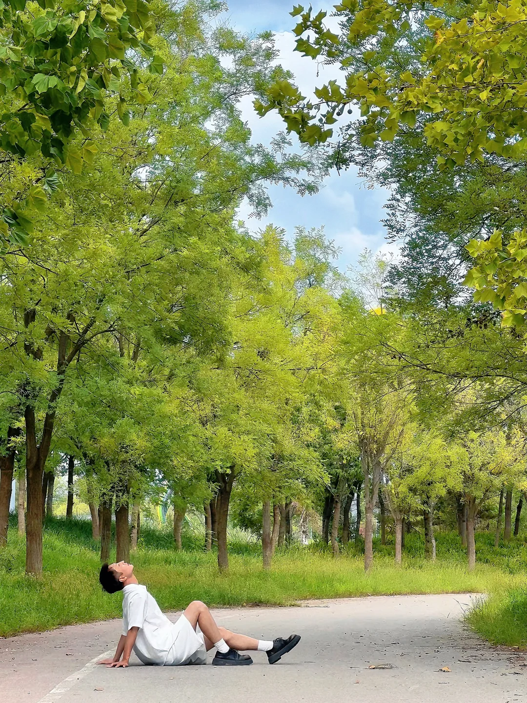 衡水人咋都不吱声?那么美随手拍都是大片!